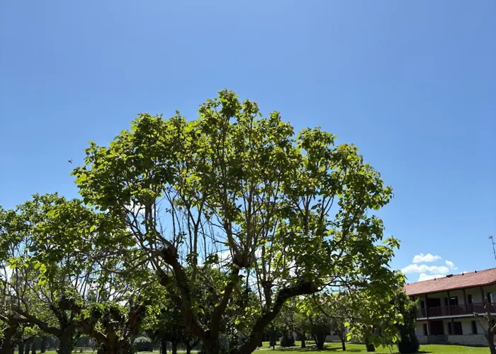 T4 A 200m De La 公寓 *